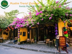 Marble Mountain - Hoi An Ancient Town Muslim Tour 1/2 Day