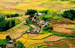 Impressive Sapa Sightseeing Muslim Tour 3 Days