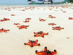 Muslim Travel Vietnam - Phu Quoc Airport: Useful information for your flight