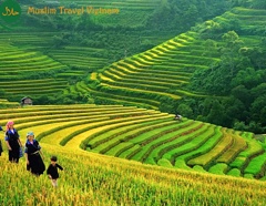 Hot Deal: Hanoi - Sapa - Halong Bay Muslim Tour 5D4N