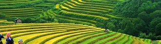 Sapa Muslim Tours