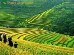 Hot Deal: Hanoi - Sapa - Halong Bay Muslim Tour 5D4N