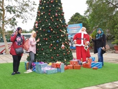Enjoy Christmas