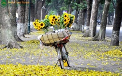 Climate and recommended clothing when travelling in Vietnam